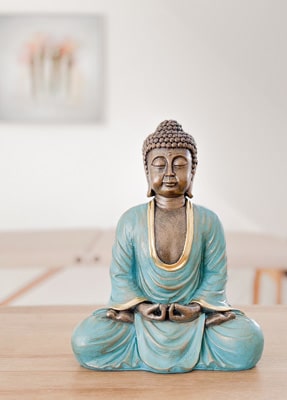 Buddha-Figur in der Salugene Praxis mit unscharfem Hintergrund.
